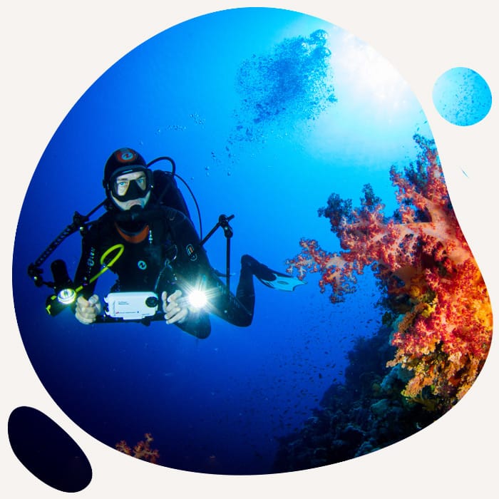 PADI Instructor Courses- MSDT