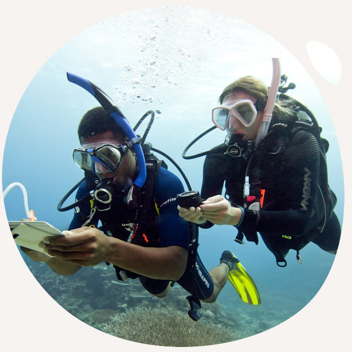 Get Ready for the PADI IDC